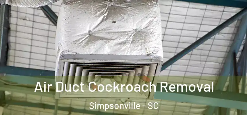  Air Duct Cockroach Removal Simpsonville - SC