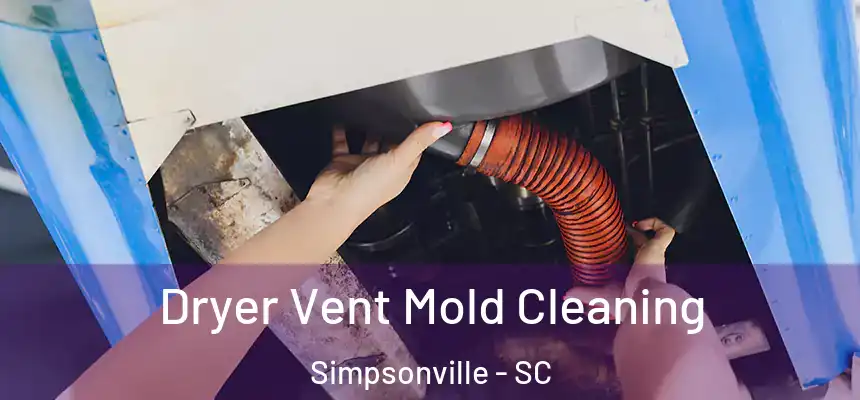  Dryer Vent Mold Cleaning Simpsonville - SC