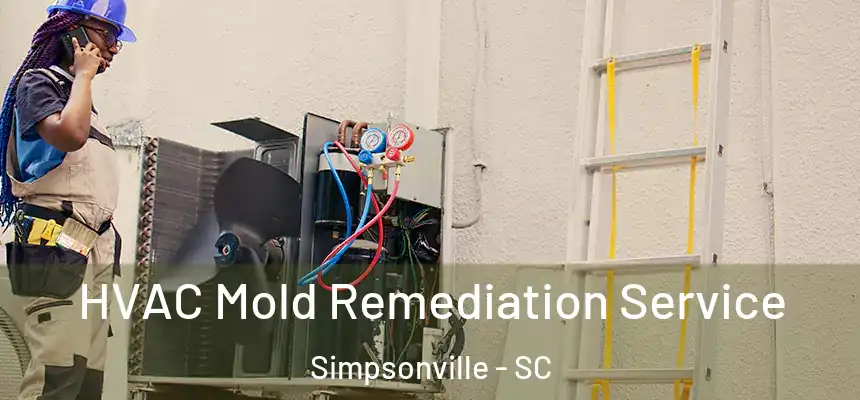  HVAC Mold Remediation Service Simpsonville - SC