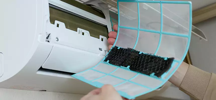 Gentle Ductwork Odor-Control Pet Dander Duct Cleaning in Simpsonville, SC