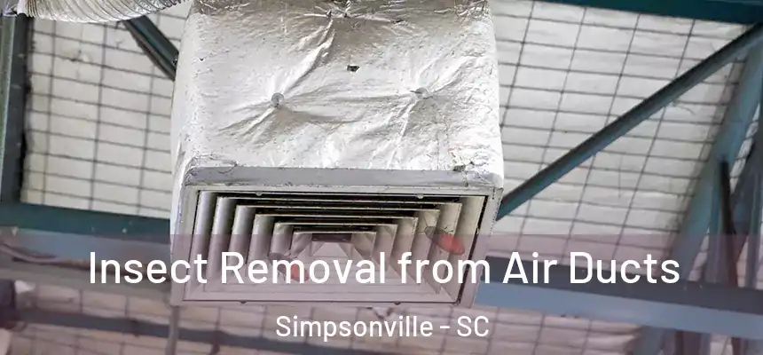  Insect Removal from Air Ducts Simpsonville - SC