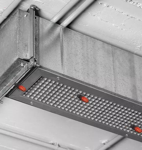 About Air Duct Cockroach Removal in Simpsonville, SC