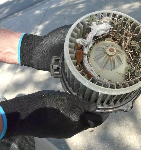 About Air Duct Mice Removal in Simpsonville, SC