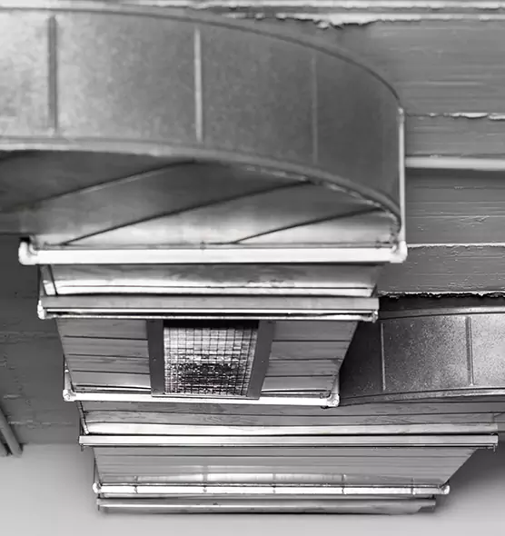 Professional Air Duct Pet Hair Removal in Simpsonville, SC