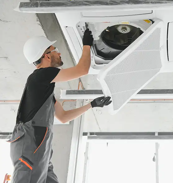 About Air Duct Rodent Removal in Simpsonville, SC