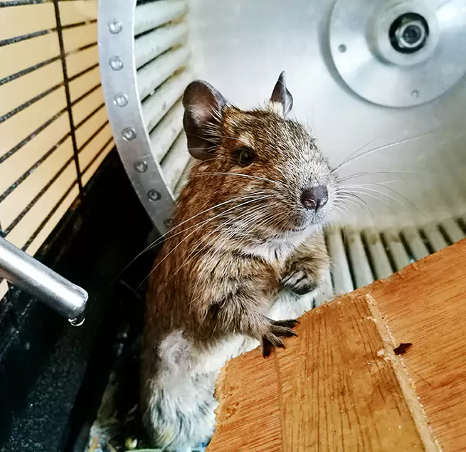 Why Homeowners & Businesses Trust Us Simpsonville, SC?