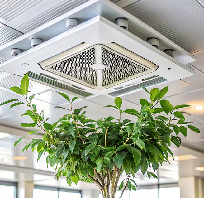 Why Homeowners & Businesses Trust Us in Simpsonville, SC?