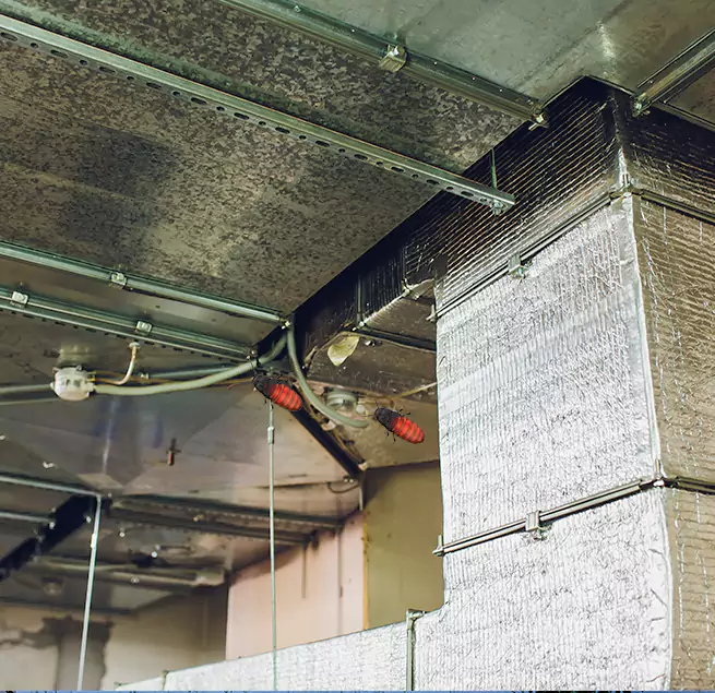 Why Homeowners & Businesses Trust Us Simpsonville, SC?